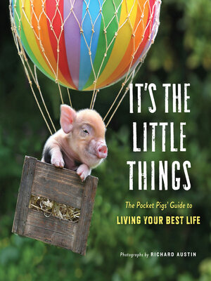cover image of It's the Little Things